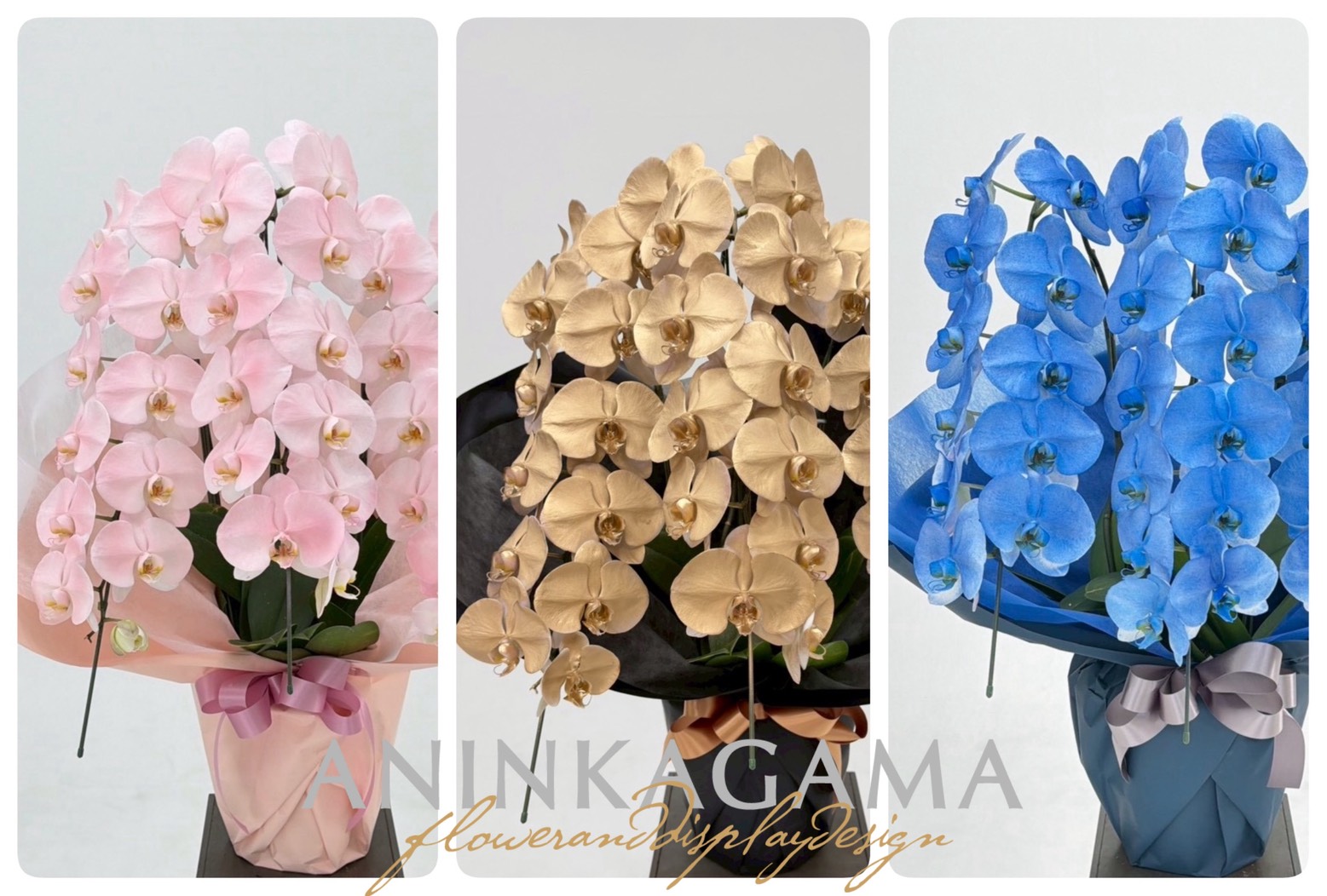 category flower example
